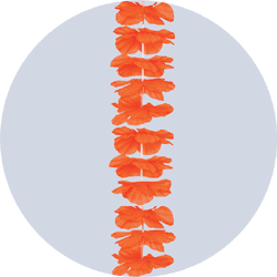 orange silk leis