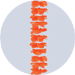 orange silk leis
