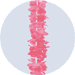 pink silk leis