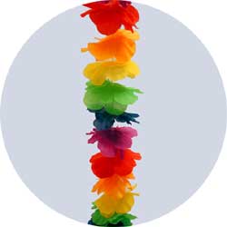 rainbow silk leis