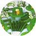 shamrock assortment